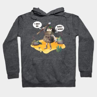 Cute wizard, I just do what I want. Adam Hoodie